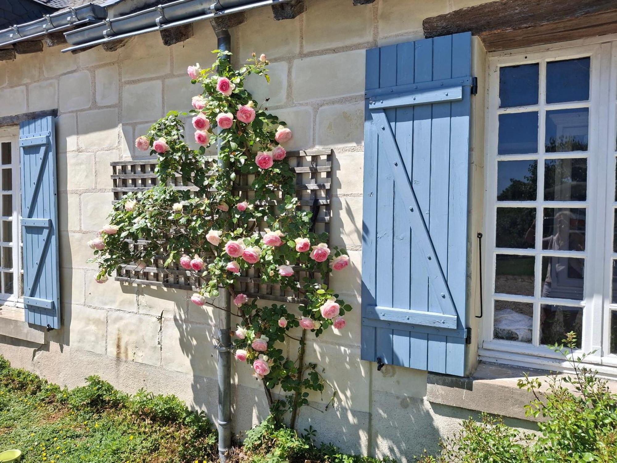 Le Mouton Bed & Breakfast Blaison ภายนอก รูปภาพ