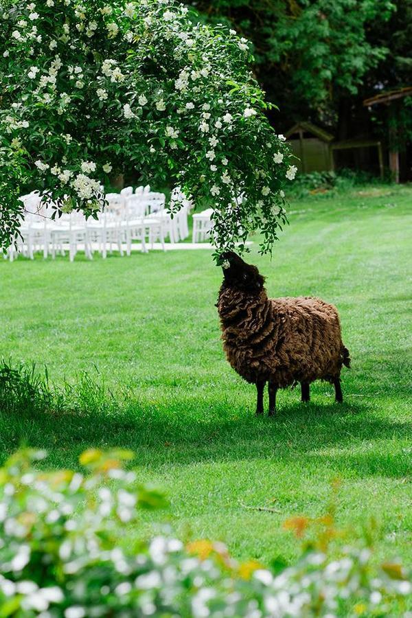Le Mouton Bed & Breakfast Blaison ภายนอก รูปภาพ